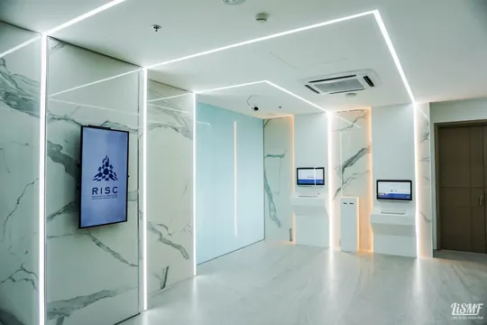 RISC, the entrance (2017)