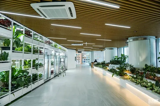 RISC, the plant-wall corridor